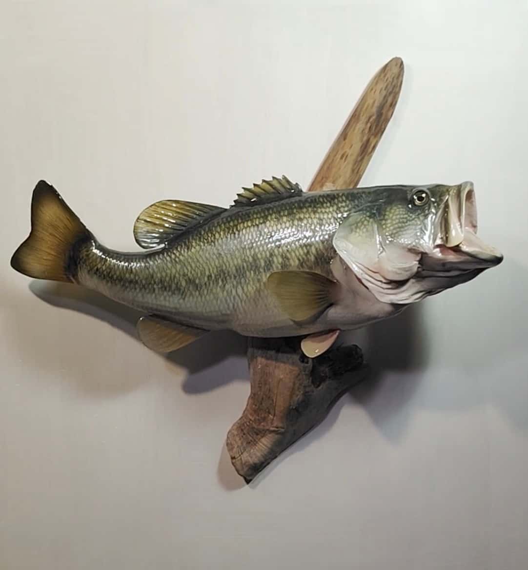 0997 Large Mouth Bass Replica - Fish taxidermy by A.C.E. in Granbury TX