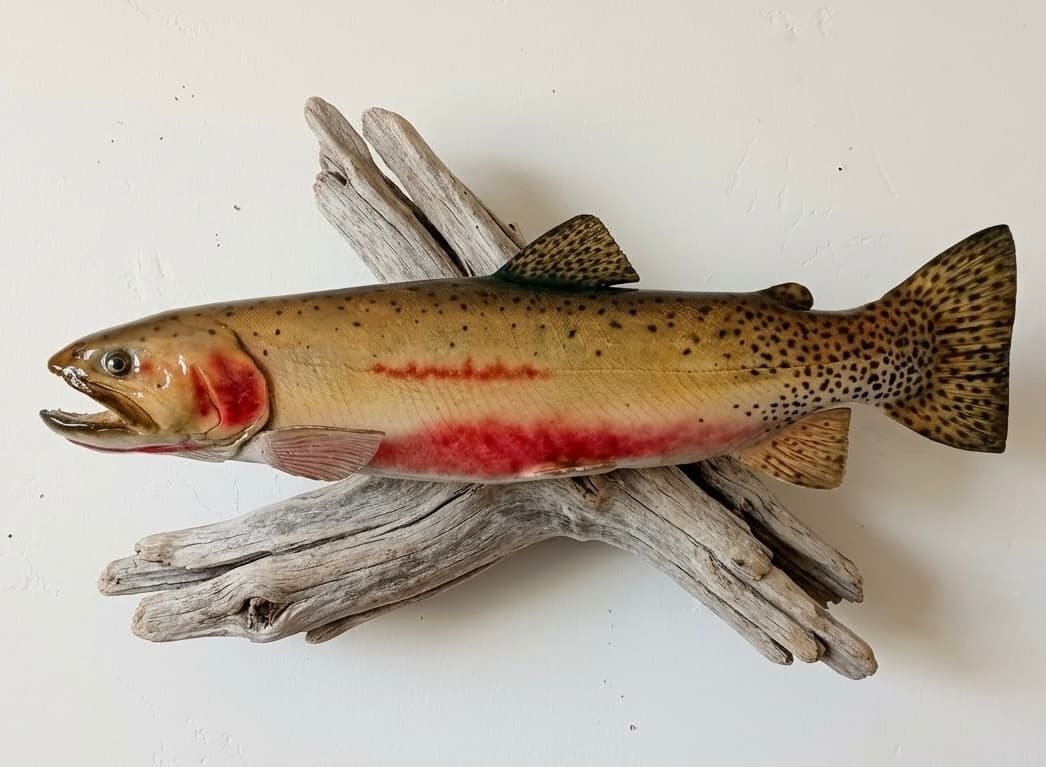 Cutthroat trout wall mount on driftwood